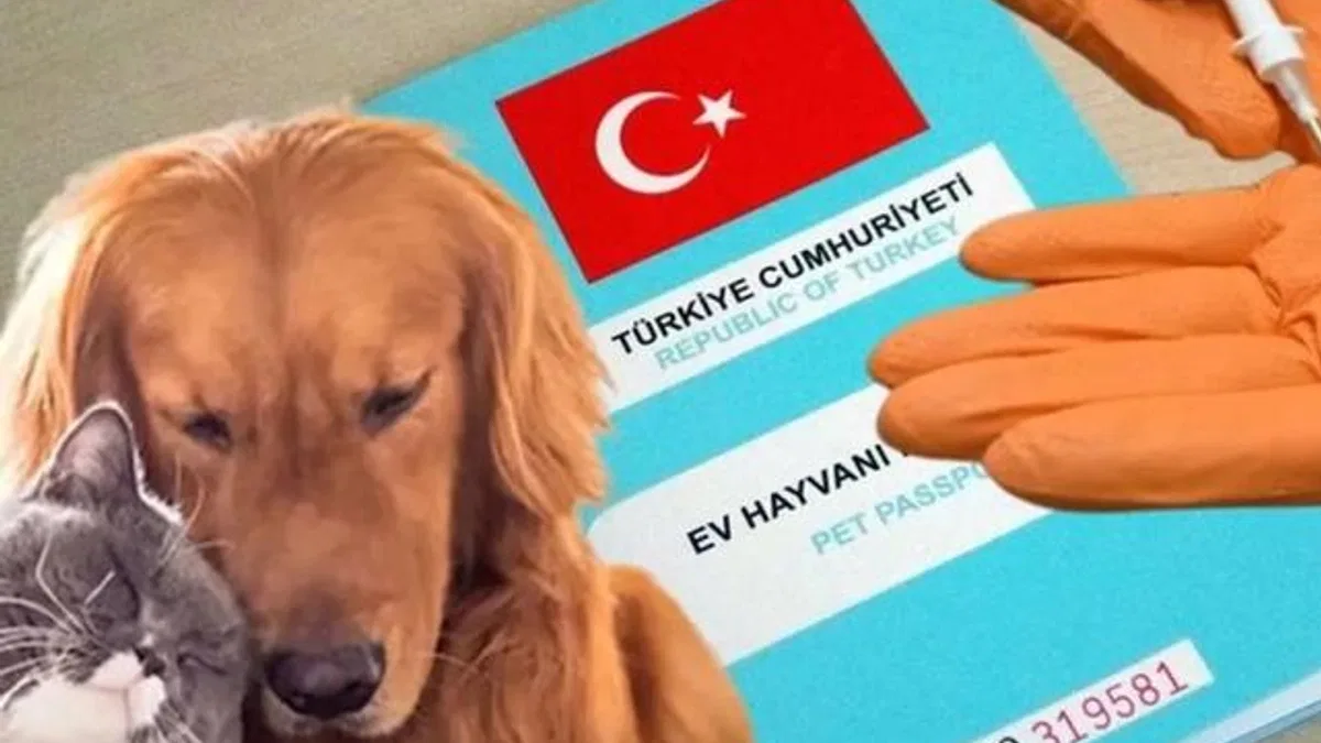 Kimliklendirilmeler yıl sonuna uzatıldı!