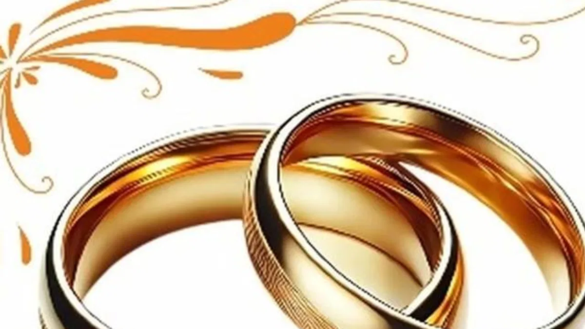 Malatya’da 100 çifte toplu nikah