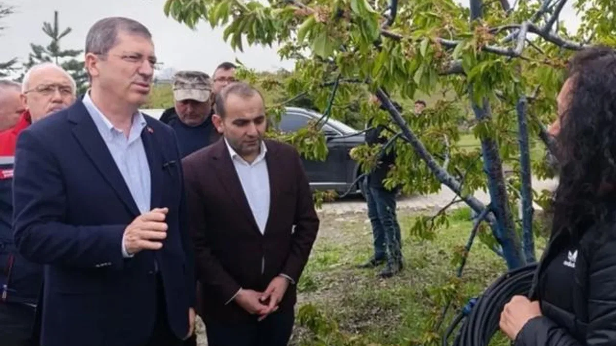 Tokat’ta don felaketi… TBMM gündemine taşınacak
