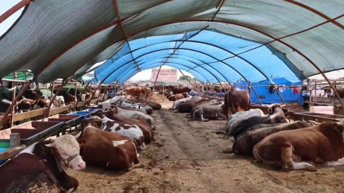 Büyükşehir kurban satış noktalarını ilaçlıyor