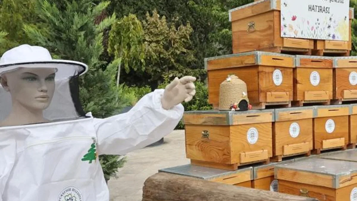 Muğla’da çam balı hasadı coşkuyla kutlandı