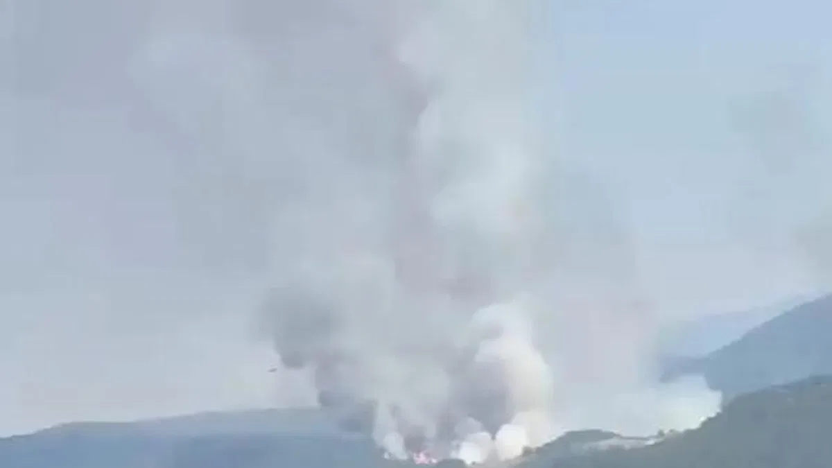 Balıkesir Sındırgı’da orman dışı alanda yangın!