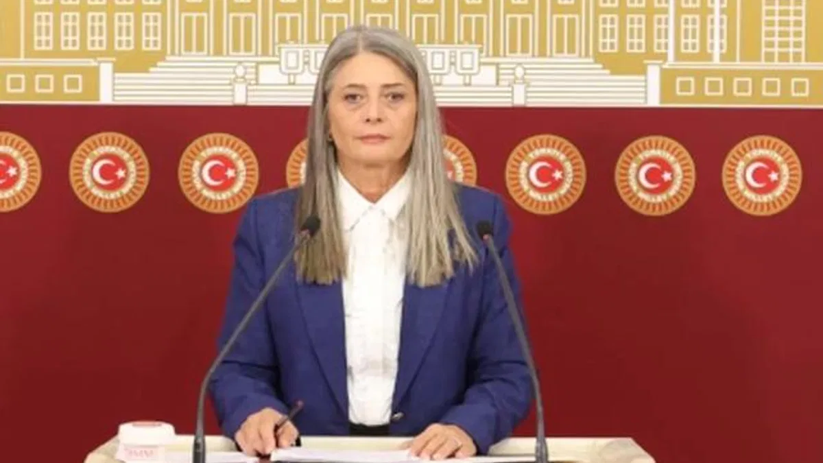 CHP’li Suiçmez’den Sağlık Bakanlığı’na ‘doğum’ tepkisi