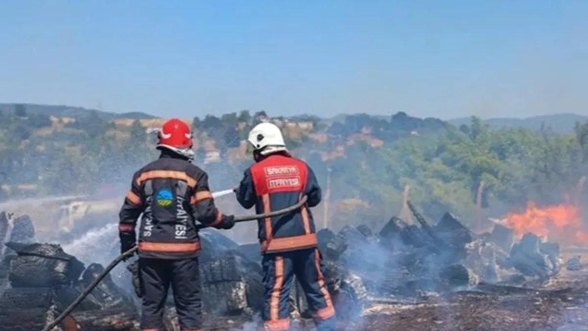 Sakarya Söğütlü’deki orman yangını kontrol altına alındı
