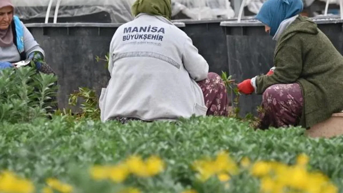 Manisa düşük su tüketimi olan bitkilerle güzelleştiriliyor