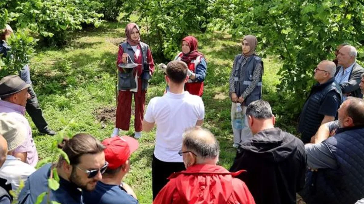 Sakarya’da çiftçilere feromon tuzağı ulaştırıyor