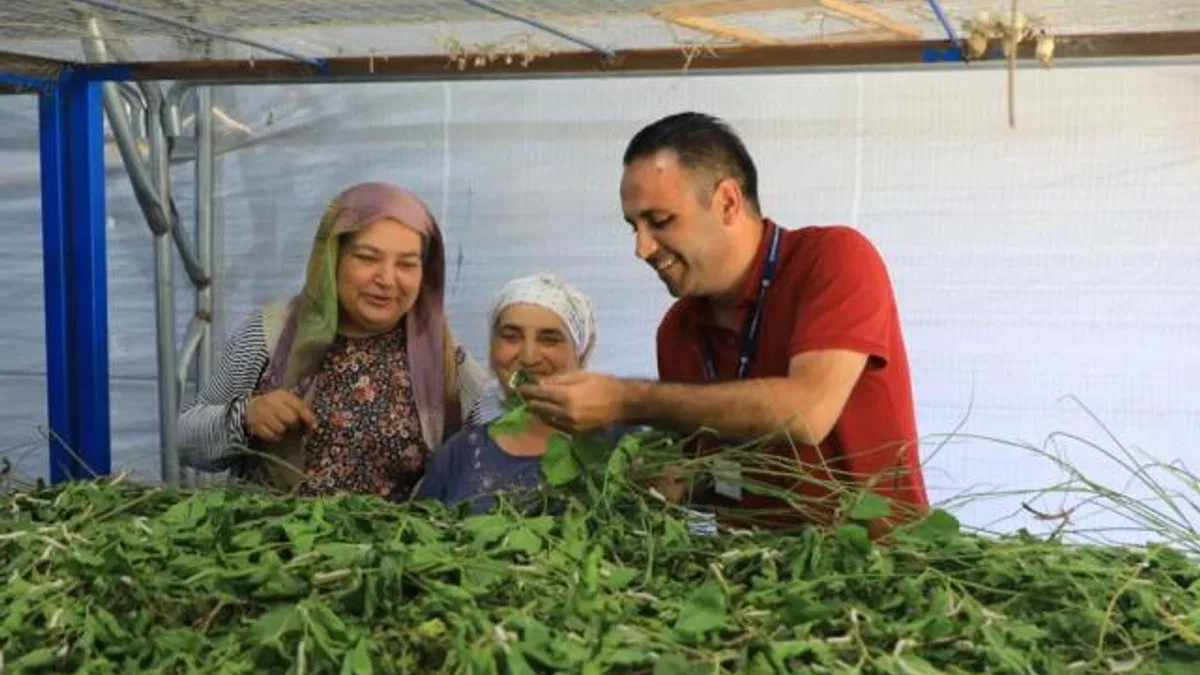 İpekböcekçiliği yeniden doğuyor! Ata mirasına modern dokunuş