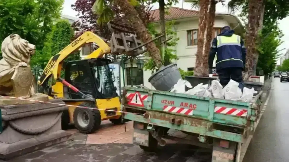 Eskişehir’de Köprübaşı palmiyeleri sahaya çıktı