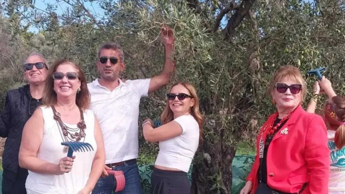 Urla’da zeytin hasadı etkinliği