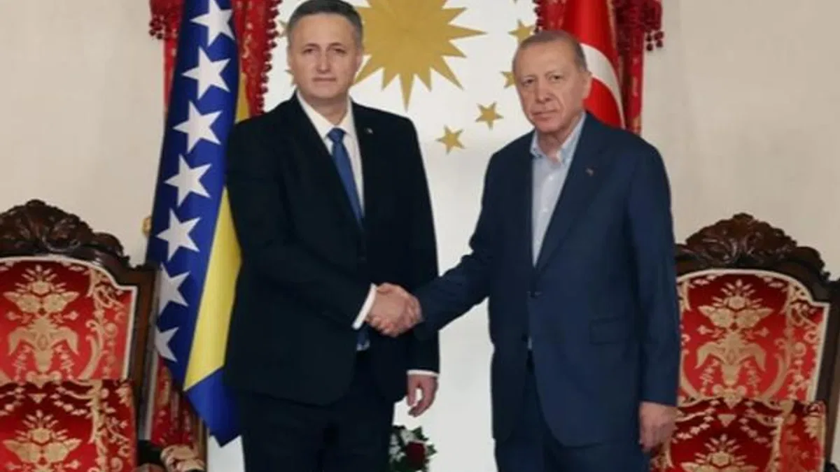 Cumhurbaşkanı Erdoğan, Beçiroviç’i Dolmabahçe’de ağırladı