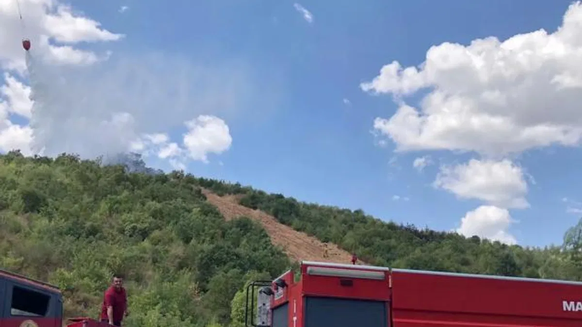 Manisa’da ormanlık alanda çıkan yangın söndürüldü