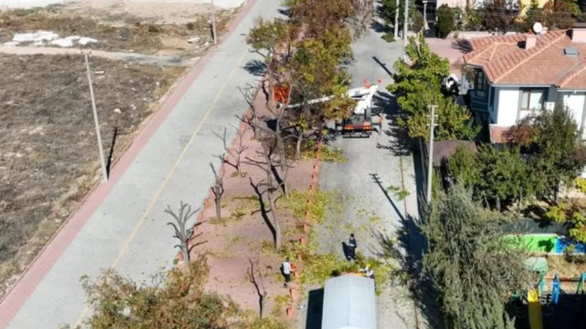Konya Selçuklu’da ağaçlar budanıyor… Atıklar kompost gübreye dönüştürülüyor