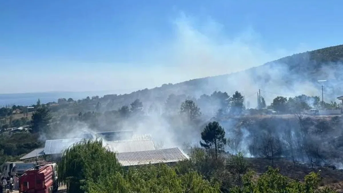 Yalova Armutlu’da orman yangını kontrol altında