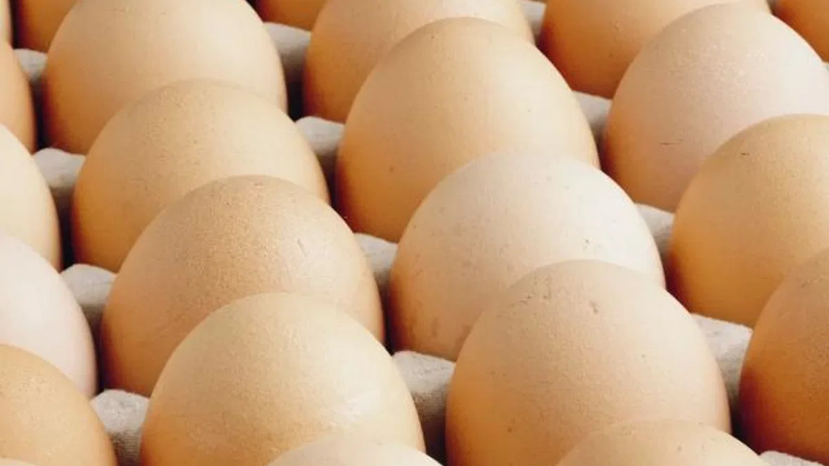 A sınıfı yumurtalarda ‘tüketim tarihi’ zorunluluğu… Türk Gıda Kodeksi Yumurta Tebliği’nde değişiklik