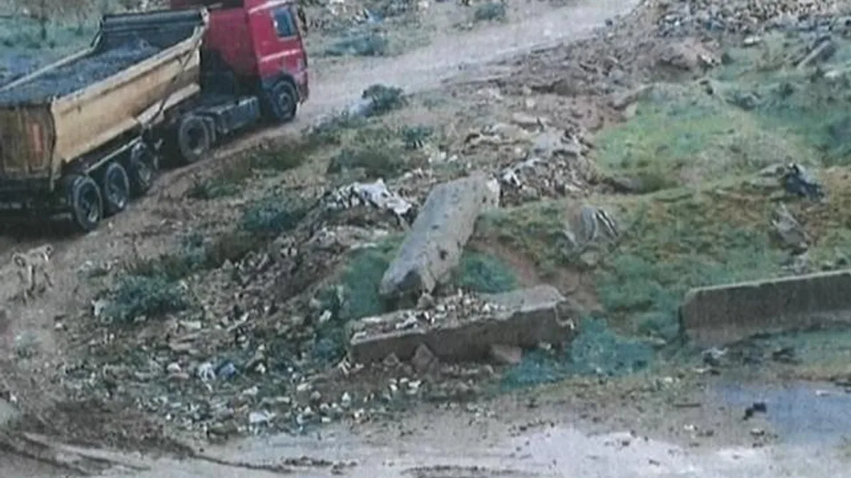 Kocaeli Encümeni ceza yağdırdı… Doğa katliamına 7,5 milyon TL ceza