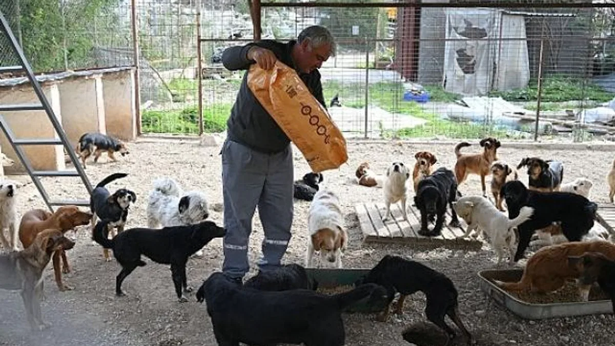 Kemer Belediyesi mama üretim tesisini açıyor