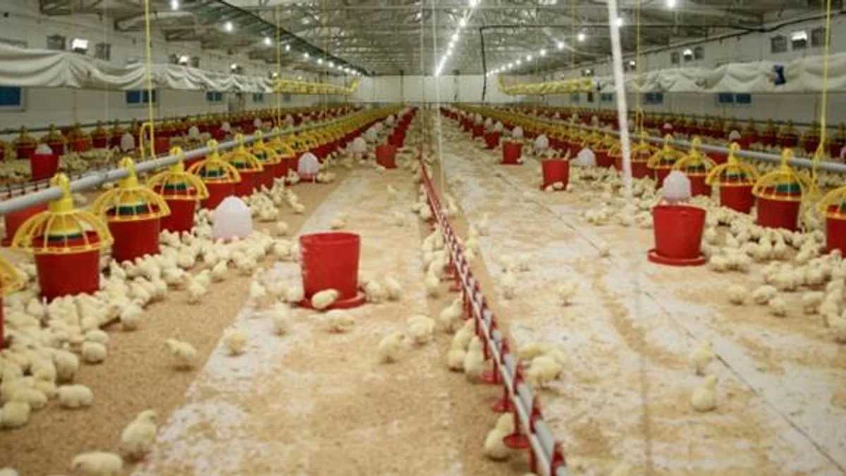 Şenpiliç ekosistemi sözleşmeli çiftliklerle geçen yıl 4.200 kişiye istihdam sağladı