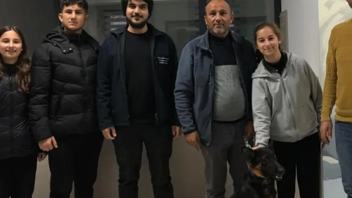 Kocaeli’de 275 cana yuva bulundu