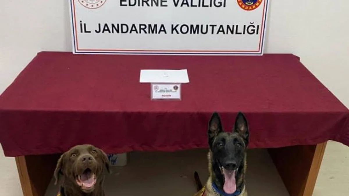 Edirne’de sürücüye kokainden adli işlem