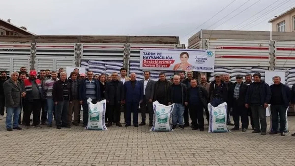 Büyükşehirden, üreticilere kuzu-oğlak yemi desteği