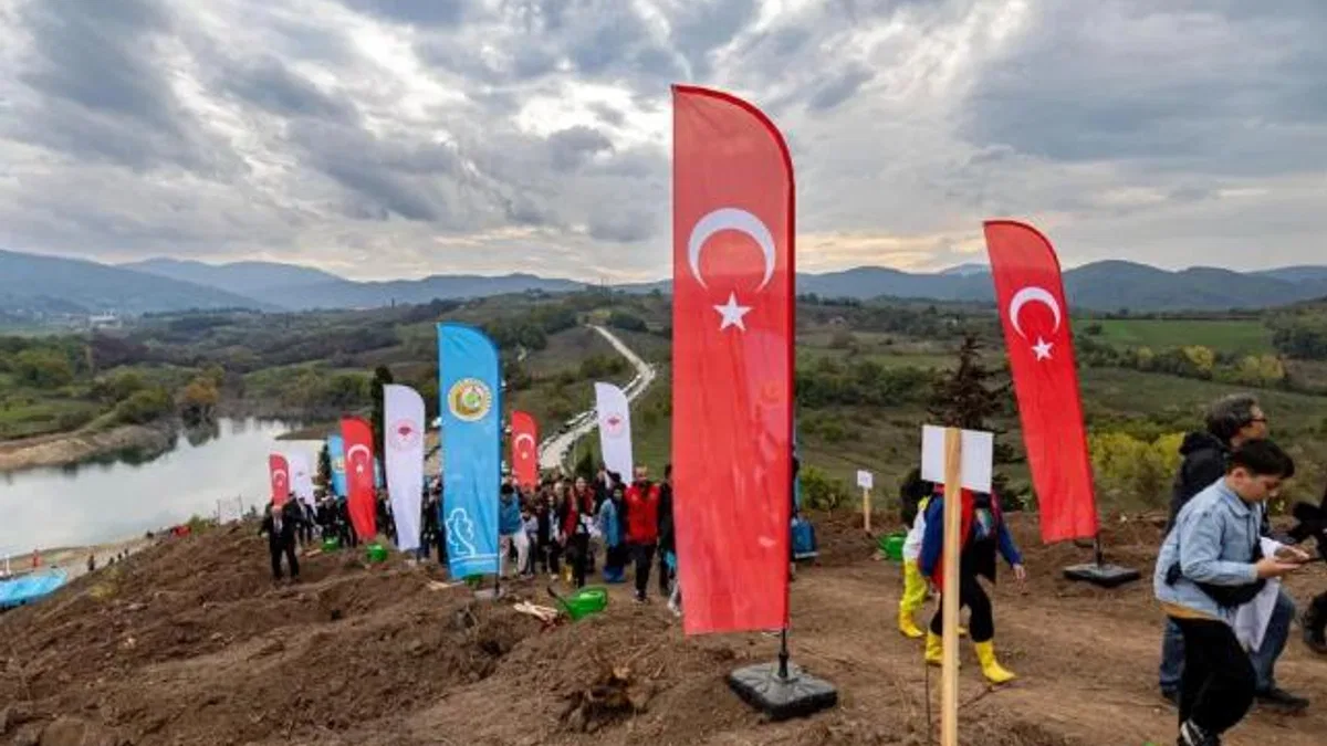 Karamürsel’de yanan bölge 3 bin fidanla yeşerecek