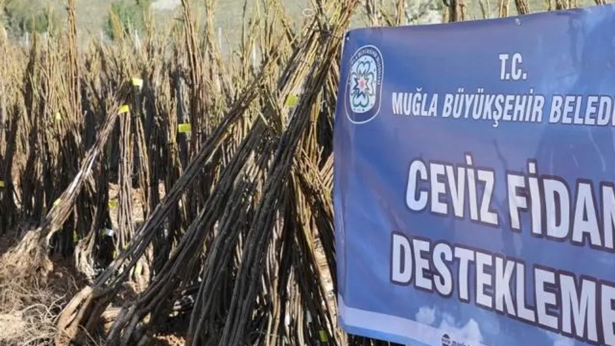 Muğla ‘her kapıda bir fidan’la toprağa sahip çıkıyor
