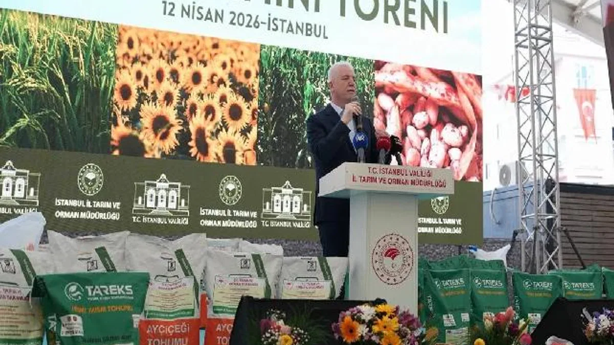 İstanbul’da çiftçiye dev destek… 84 ton tohum dağıtılacak