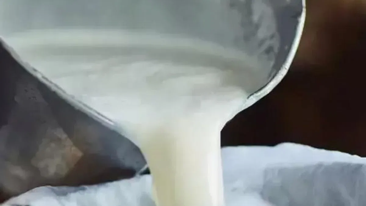 Süte su katılıyor mu nasıl anlaşılır?
