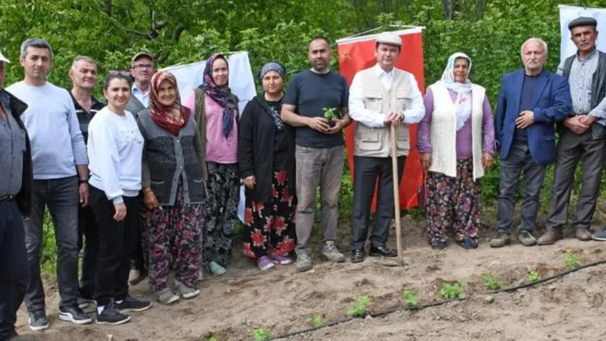 Bursa Osmangazi Belediyesi’nden tarımsal üretim adımı