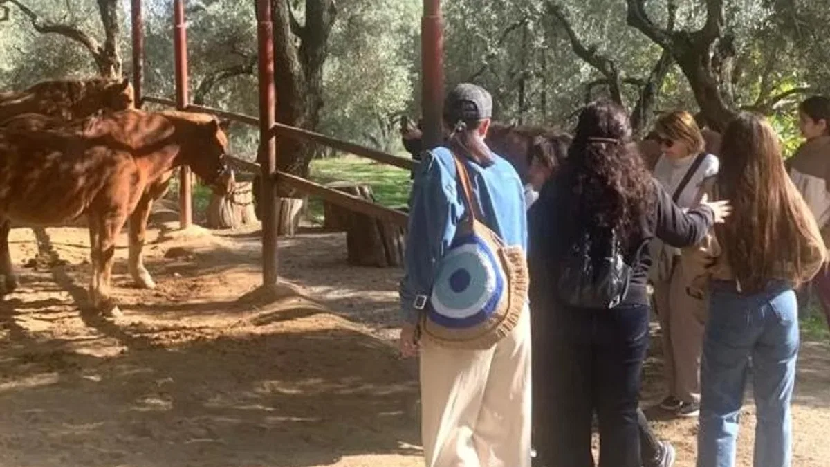 İzmir Narlıdere’de gönüllülere teşekkür