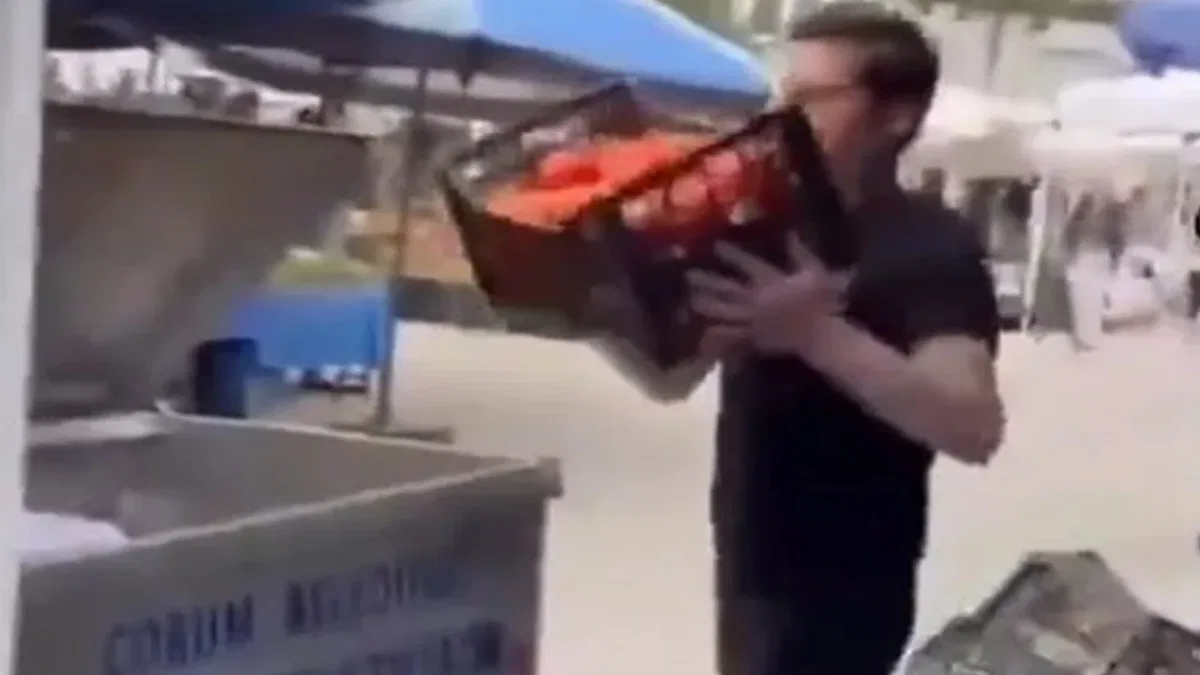 Kasalarca domatesler çöpe döküldü! Cezasız kalmadı!