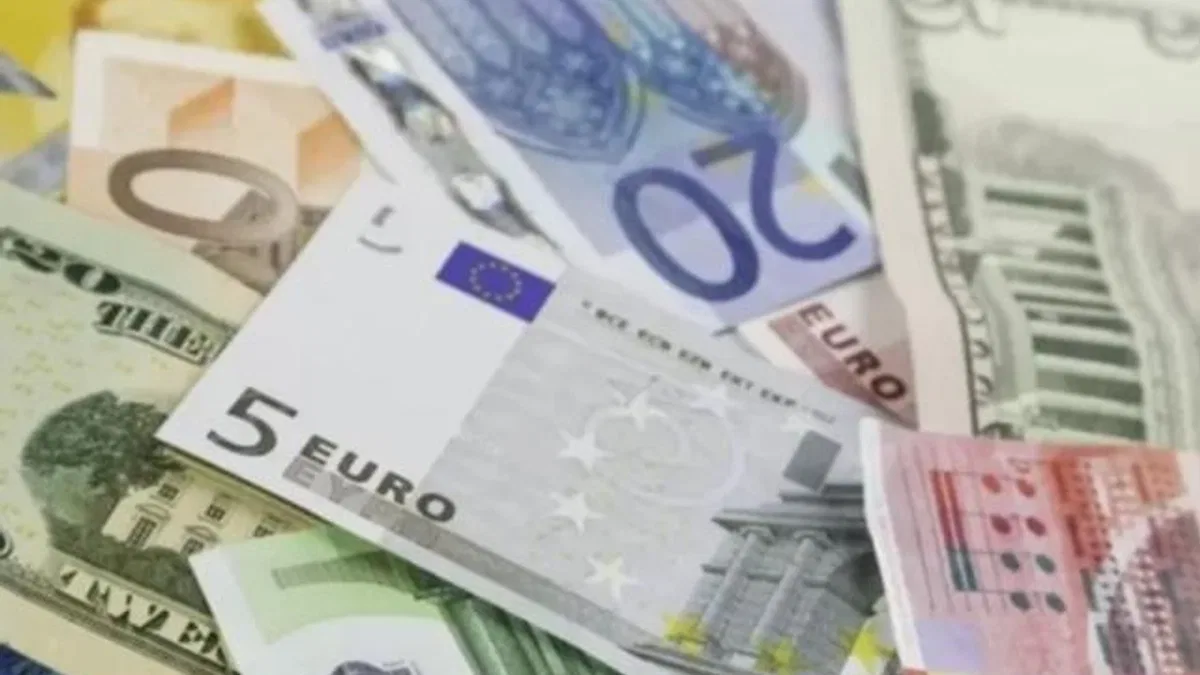 2024 yılına ilişkin esas kurlar ‘Resmi’leşti