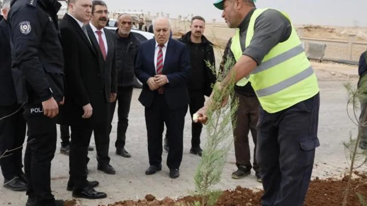 Mardin Yeşilli 2.ci OSB’de binlerce ağaç toprakla buluştu