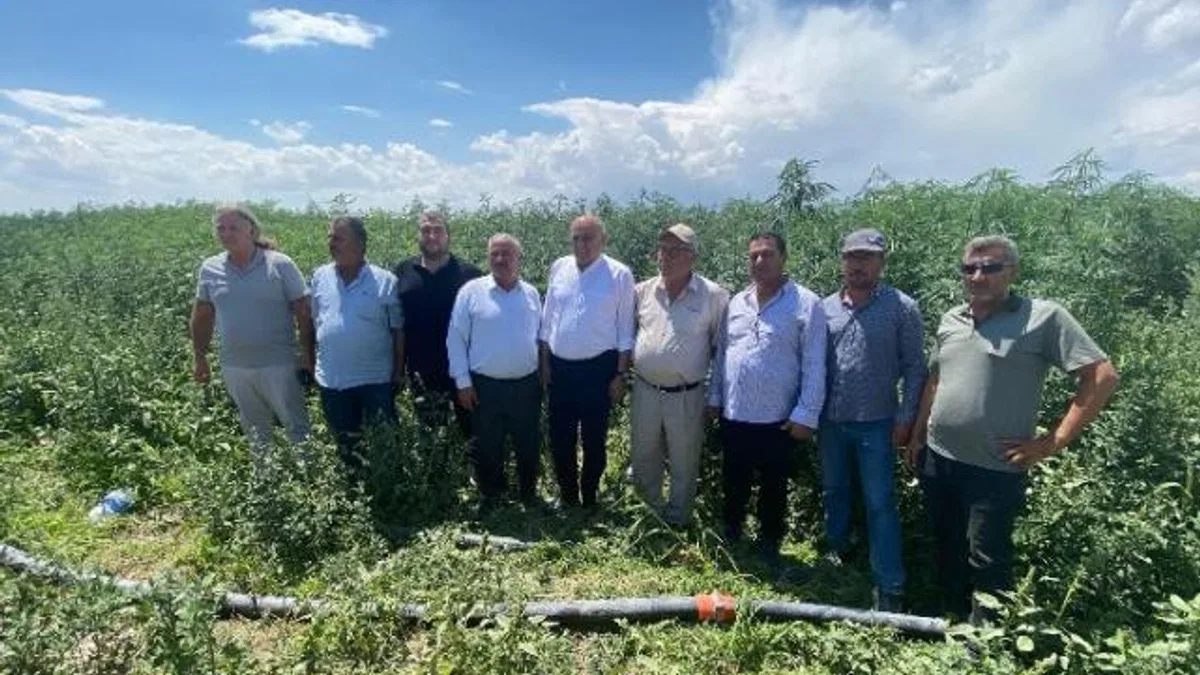 PANKOBİRLİK: Önümüzdeki yıl sanayi alt yapısına başlayacağız
