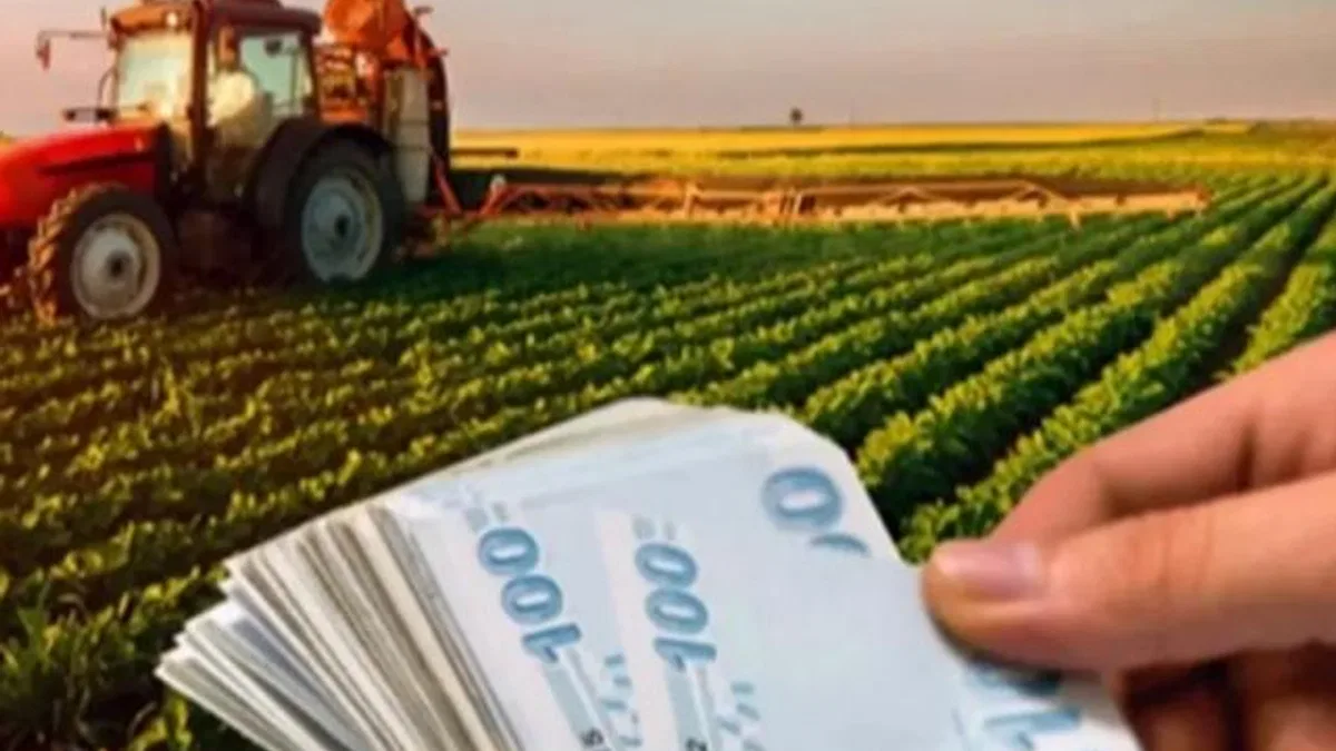 2025 bütçesinde tarıma 706 milyar TL ayrıldı