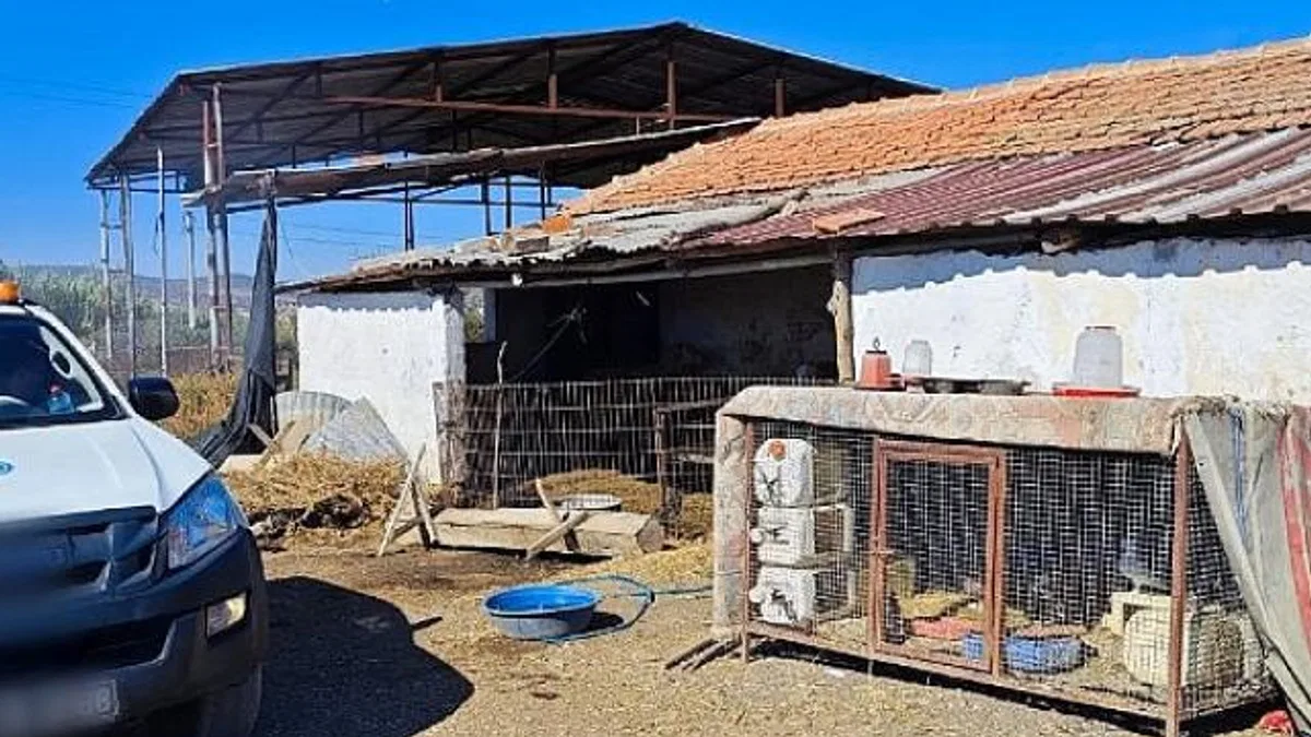 Büyükşehir’den ‘Mavi Dil’ Hastalığına Karşı Mücadele