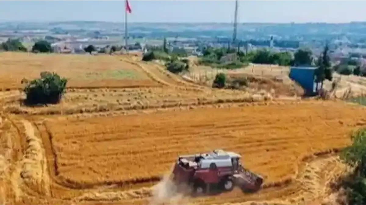 Tarımda baskı artıyor