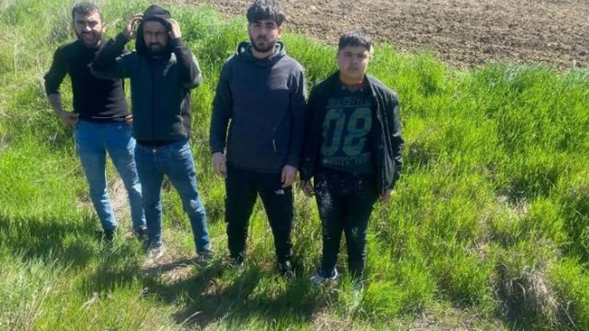 Edirne’de 4 göçmen yakalandı