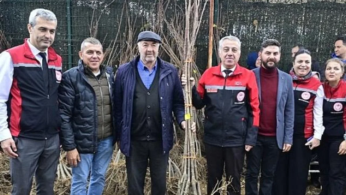 İzmirli Kestane Üreticilerine Kestane Gal Arısına Dayanıklı 2 bin 620 Fidan Dağıtıldı