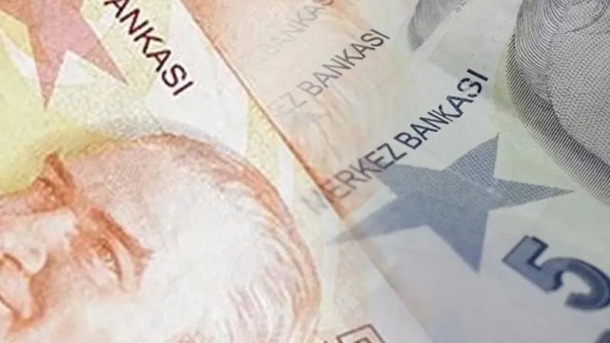 5 ve 50 TL’lik yeni banknotlar piyasada
