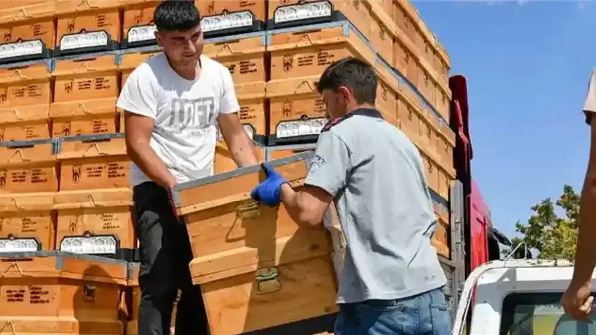 Ankara Büyükşehir’den arıcılara hibeli kovan desteği