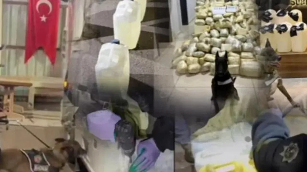 Erzurum ve Mersin’de 447 kilogram uyuşturucu: 3 gözaltı