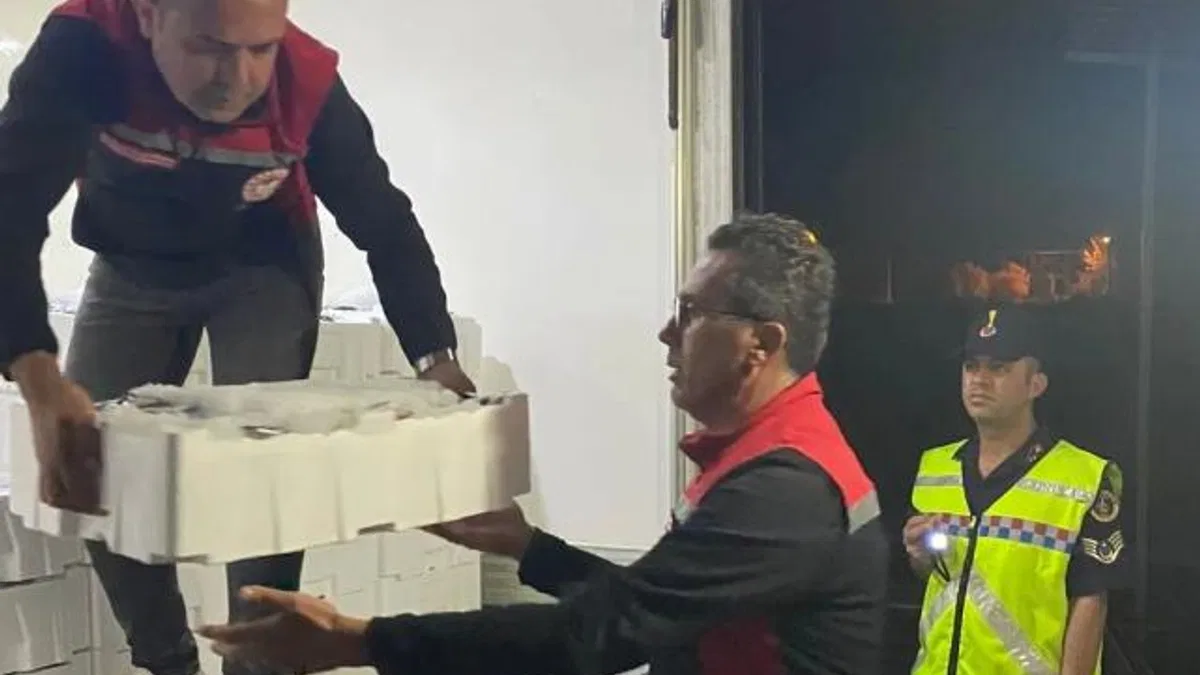 İzmir’de yasadışı avlanan bin 430 kilogram hamsiye el konuldu