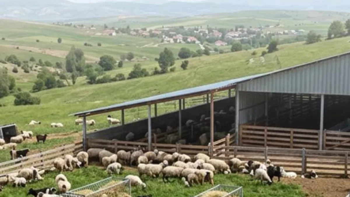 Çiftçilere 5,48 milyar TL tarımsal destek ödemeler hesaplarda