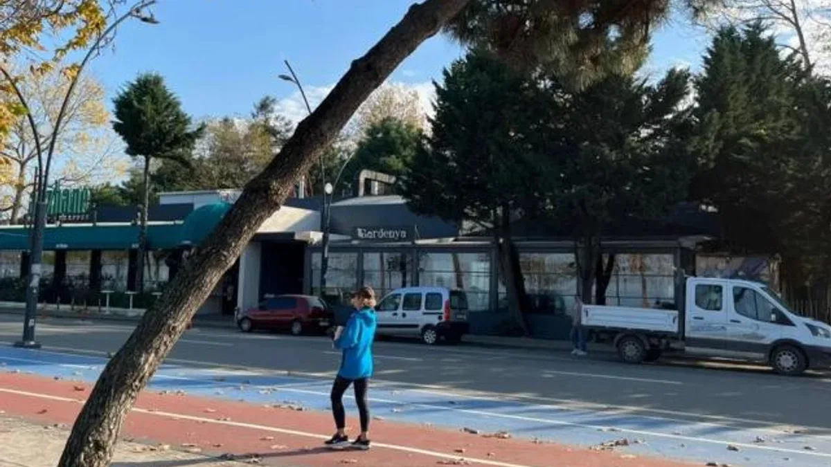 Ordu’da tehlike arz eden ağaçlar için güvenlik çalışması