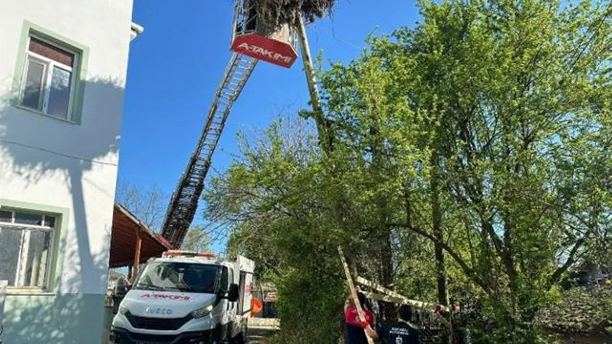Leyleklerin yuvası yıkılmaktan kurtarıldı