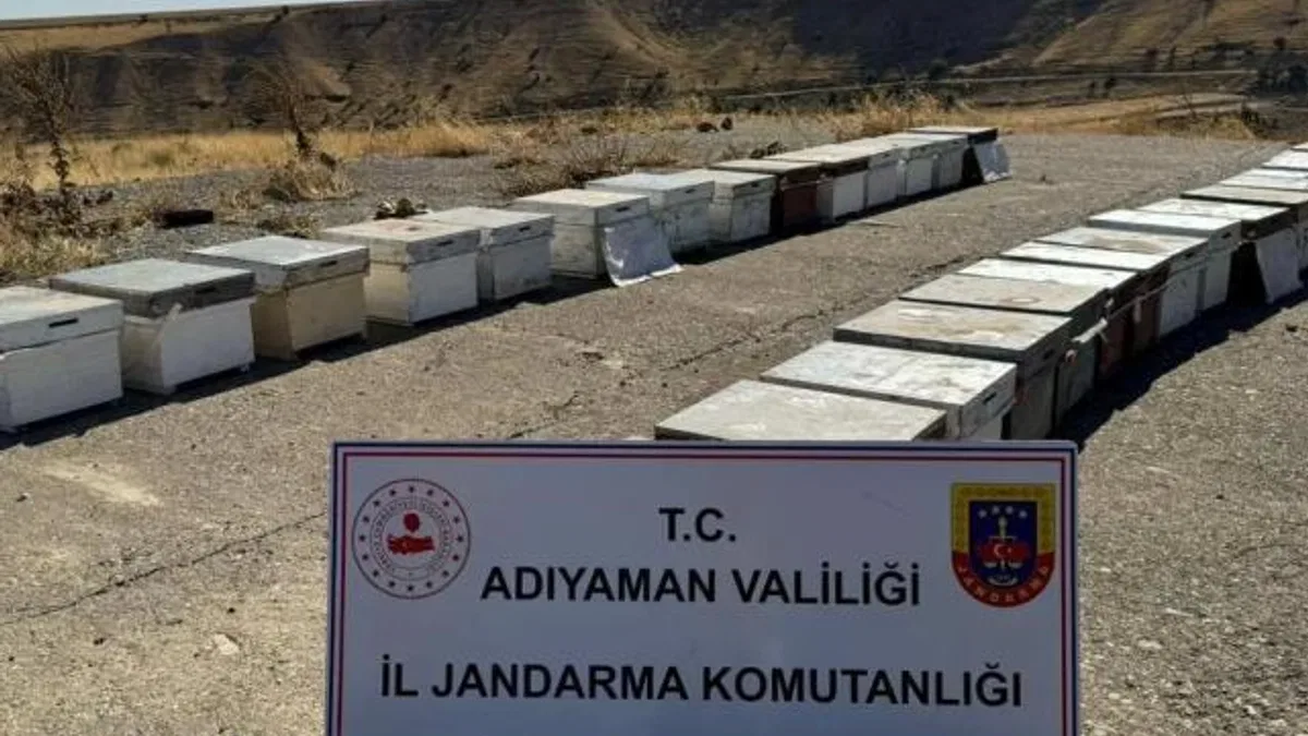 Adıyaman’da arı kovanlarını çalan şahıs yakalandı!