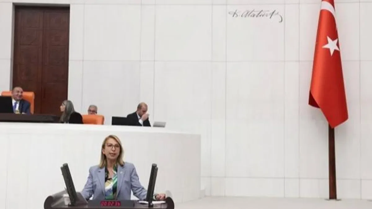CHP’li vekilden bütçe eleştirisi