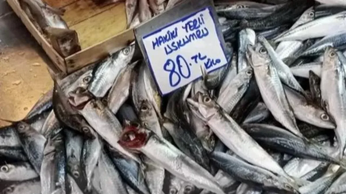 Bursa Tuz Pazarı’nda balık sezonu yoğunluğu başladı