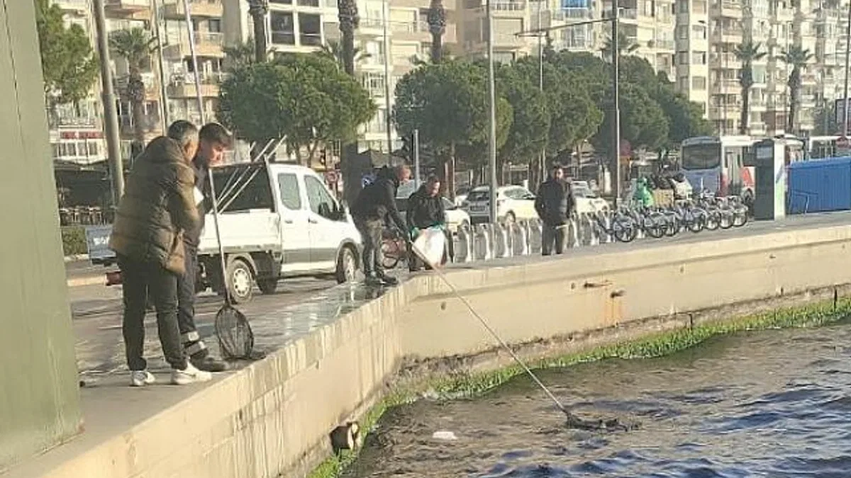 Başkan Tugay bakanlık yetkililerini göreve çağırdı “Bu ihanetin gereğini yapın”